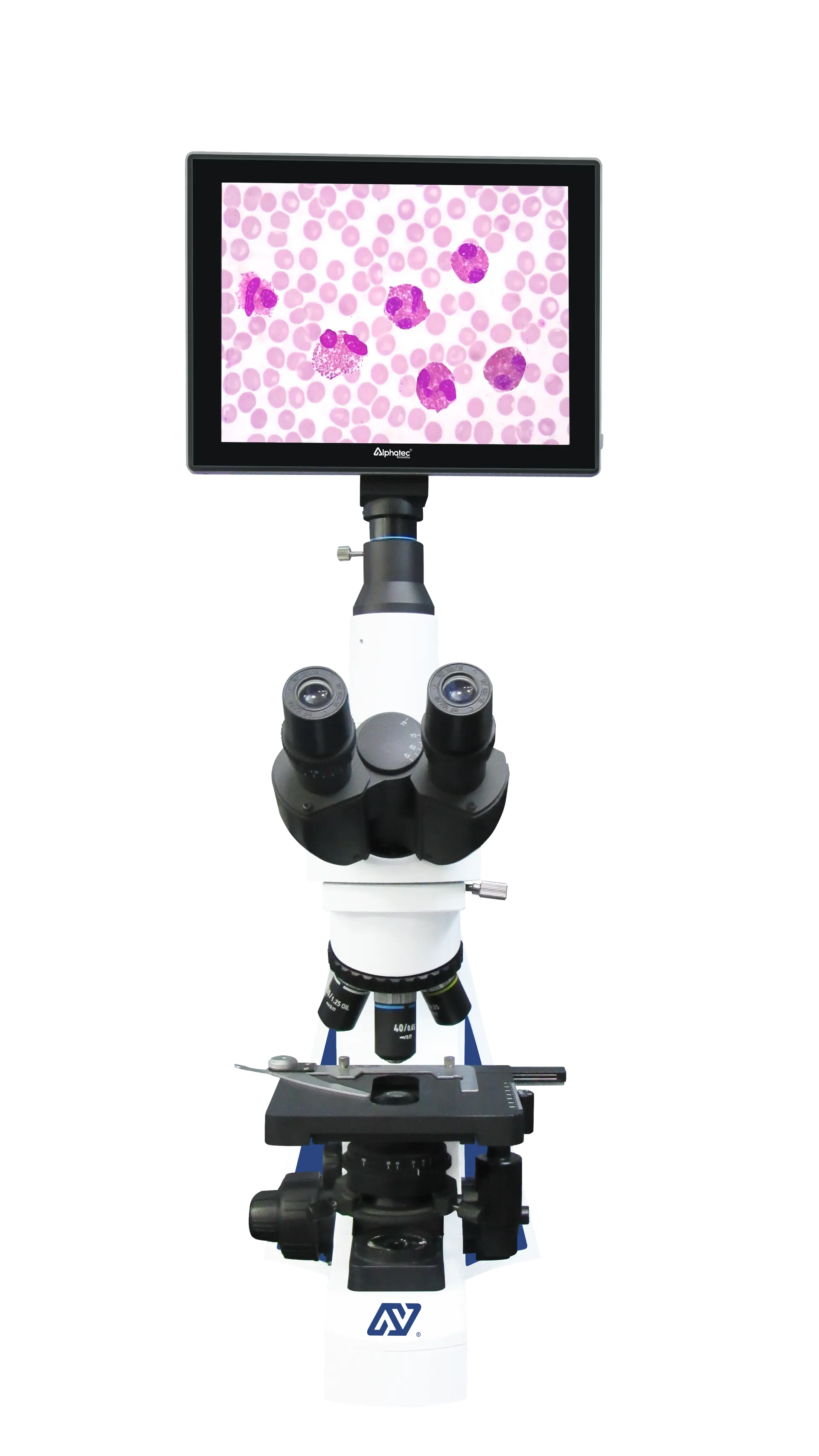 Astreo Microscopio